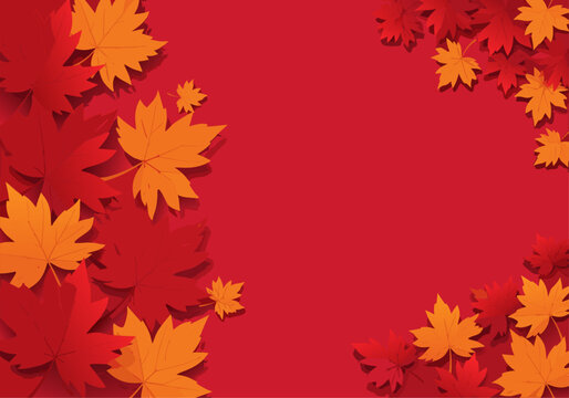 Vibrant Autumnal Display Two Distinct Palettes of Maple Leaves on a Red Backdrop with Shadows