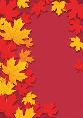 Obraz premium A vibrant autumn background featuring two distinct groups of red and golden maple leaves, creating a colorful decorative border for your design
