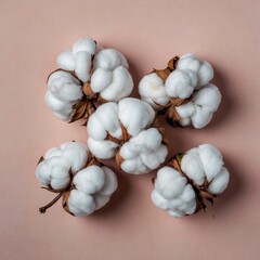 Cotton boll close-up, suitable for natural branding, eco-friendly packaging, seasonal decoration, and lifestyle photography.