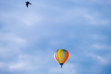 Hot air ballon on a summers day