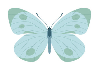 Butterfly, light blue color. Insect, nature and summer concept. Simplicity vector illustration, isolated.