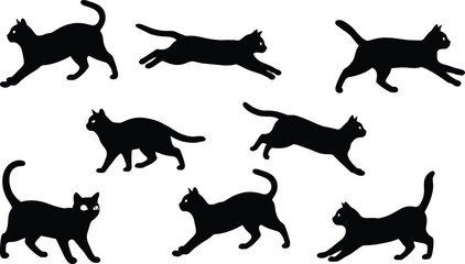 Nine black cat silhouettes in various dynamic poses on white Keywords: cat, silhouette, black, animal