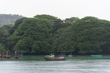 Fototapeta premium View of the Panama Canal's entrance with lush, green riverbanks. 