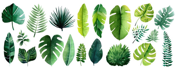 Assorted Tropical Leaves