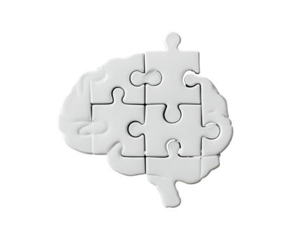 A stylized brain image, rendered in light gray, composed of interlocking puzzle pieces.  The pieces form the shape of a brain