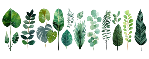 A horizontal arrangement of various stylized tropical leaves in shades of green