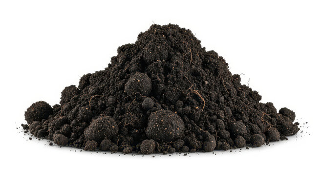 Rich Dark Soil Compost for Garden Beds and Plant Potting