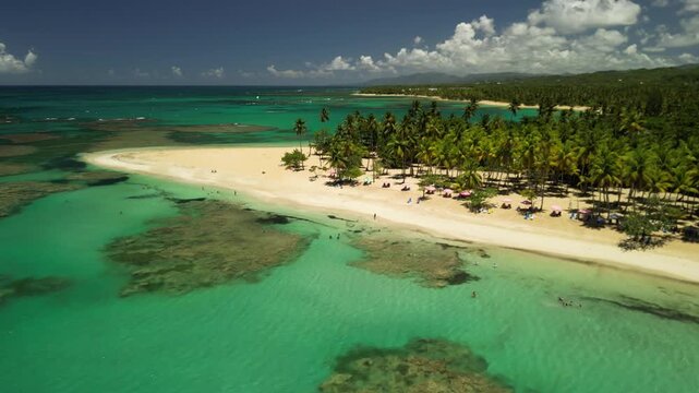 4K drone footage of Playa Punta Popy, Las Terrenas &mdash; palm-fringed beach, turquoise waters, and sandy shoreline