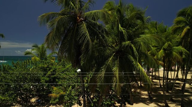 4K drone shot of Playa Punta Popy &mdash; &ldquo;Las Terrenas&rdquo; sign by the beach with turquoise ocean and palms