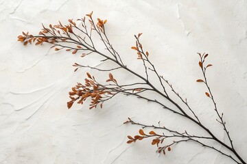 A single dark branch with small orange leaves on a textured white background