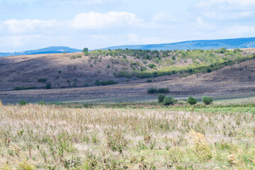 Golden hills and dry grass stretch across a vast, semi-arid landscape beneath a partly cloudy sky in Bulgaia