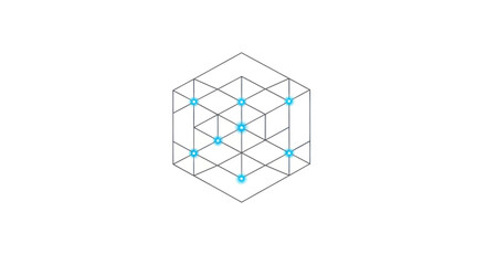 Isometric cube illustration with grid lines and blue circular nodes at intersections, isolated on a white background.