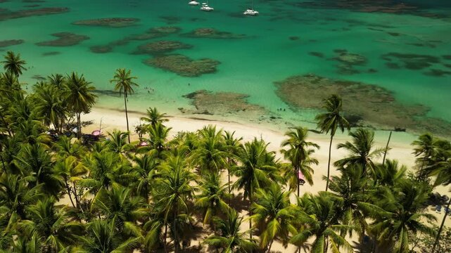 Wide drone view of Punta Popy, Las Terrenas &mdash; tropical shoreline, calm waves, and colorful Caribbean sea
