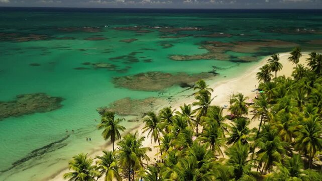 Aerial 4K view of Playa Punta Popy &mdash; Caribbean coast with blue-green waters and tropical palms. Filmed 06 August 2025, Las Terrenas, Dominican Republic