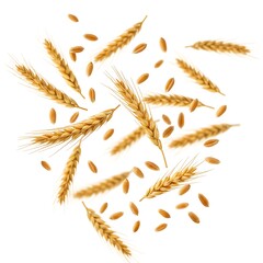 Falling Wheat isolated on white background, selective focus