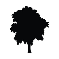 Vector tree silhouette isolated on white background