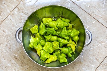 Cambuci pepper Capsicum baccatum, a bell-shaped green pepper with very little heat and very flavorful.