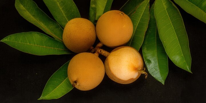 Close-up of sapodilla fruits with green leaves, one fruit cut open.