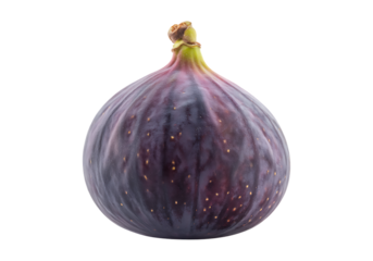 Single ripe purple fig fruit isolated on transparent background