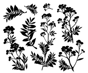 Botanical silhouettes set with branches and leaves, hand drawn decorative plants in simple flat style, minimal floral illustration for design, textile, prints, stickers, templates and digital artwork