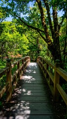 Obraz premium Wooden bridge in a lush forest