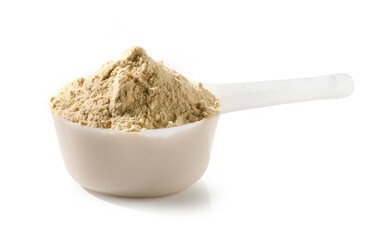 protein powder in measure spoon