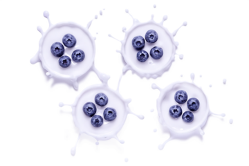 Four bowls of yogurt with blueberries and milk splashes on dairy isolated on a transparent background