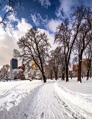 Snowy park path under a partly cloudy sky
