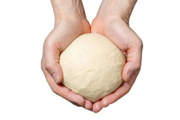 Baker's hands holding ball of raw dough, artisan bread making, food preparation, professional bakery

