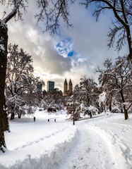 Snowy park scene in winter