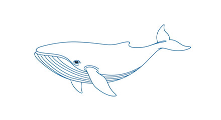 Fototapeta premium Elegant line drawing of a majestic whale swimming gracefully in the ocean isolated on transparent background a serene and captivating marine animal illustration