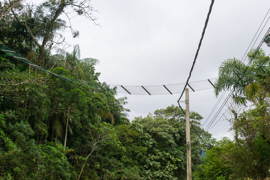 Wildlife overpass over asphalted road in Sertao do Ribeirao - Florianopolis, Brazil