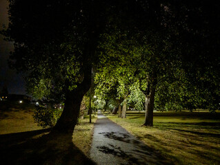 Trees & path illuminated by lighting in a park at night, Edinburgh, Scotland, United Kingdom