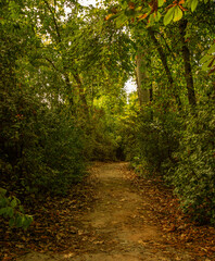 Obraz premium Carmen de los Mártires