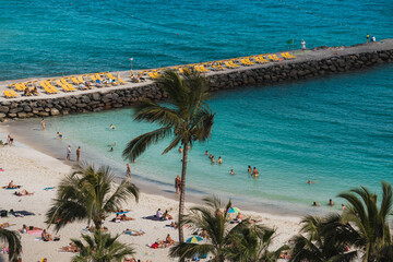 aerial view of a beach with palm trees