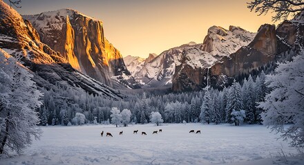 Yosemite Valley Winter Sunrise with Deer.
