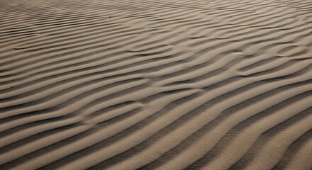 Obraz premium Rippling Sand Dunes Formed by Wind Patterns in Desert Landscape Textured Background
