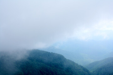A mystical view of  green mountains partially concealed by thick, swirling fog, where glimpses of lush slopes emerge like islands in a sea of mist.