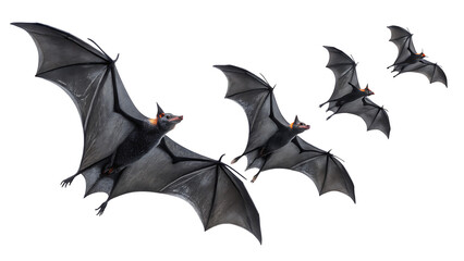 A group of five bats flying in formation against a plain white background in a horizontal view