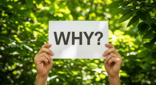 Exploring The Profound Importance Of Asking Why For Better Understanding