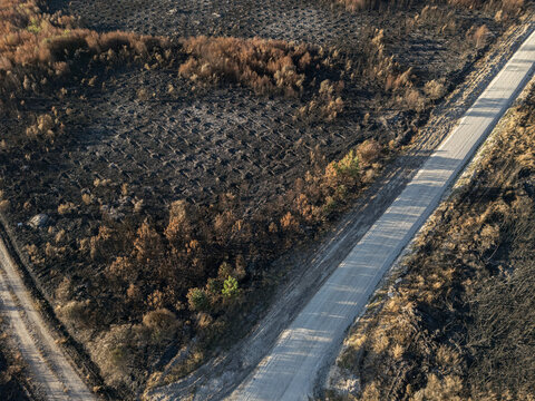Cualedro, Galicia, Spain - September 02th 2025 - Burnt landscape after the wave of wildfires that devastated the southeast of Galicia during the month of August.