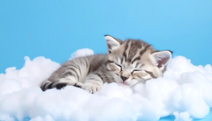 Cute kitten sleeping on fluffy clouds