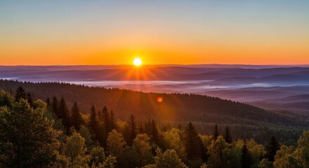 Sunrise over misty forest hills, golden light filtering through the trees