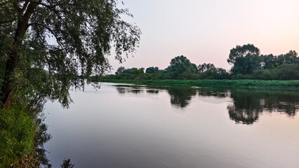 Summer early morning twilight, the sun has not yet risen, but is already coloring the sky in delicate colors. Bushes, willows and other deciduous trees grow on the grassy banks of the river