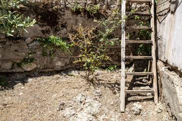 Rustic Wooden Ladder Leaning Against Weathered Wall in Sunlit Courtyard