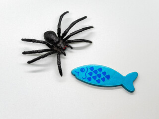 Rubber Spider and Wooden Fish