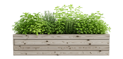 A wooden planter box filled with a variety of fresh green herbs and leafy plants on a white background