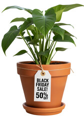 Obraz premium hHouseplant pot with a Black Friday discount tag tied to it