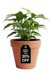 Fototapeta premium hHouseplant pot with a Black Friday discount tag tied to it