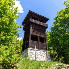 Fototapeta premium Wooden observation tower in forest
